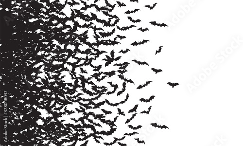 Leinwand Poster Black silhouette of flying bats isolated on white background