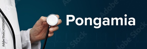 Pongamia. Doctor in smock holds stethoscope. The word Pongamia is next to it. Symbol of medicine, illness, health photo