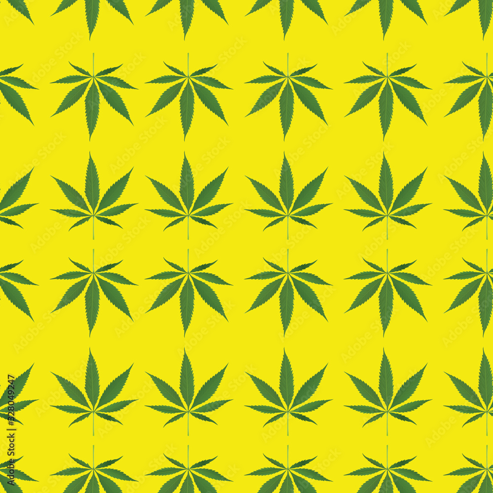 Cannabis leaf illustration seamless on yellow color isolated
