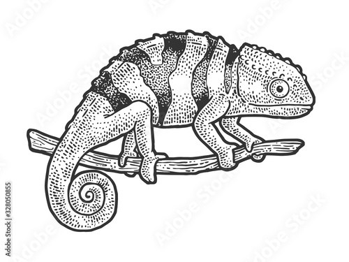 Chameleon lizard sketch engraving vector illustration. T-shirt apparel print design. Scratch board imitation. Black and white hand drawn image.