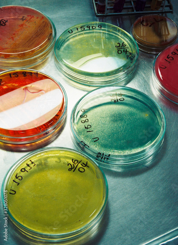 Photos cases de pesquisa de virus e bactérias