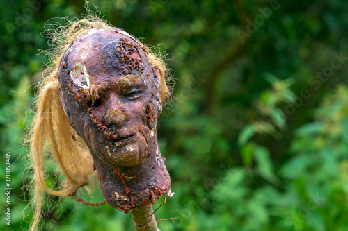 Photos Latex creepy head impaled on a stake at a medieval festival