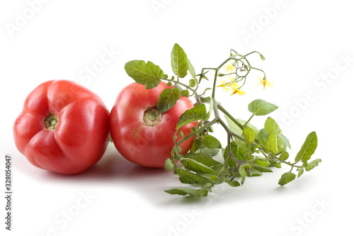 Red big tomatoes, leaves and flowers