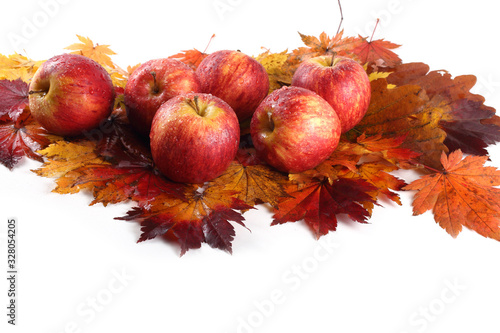 Gala apples on autumn leaves