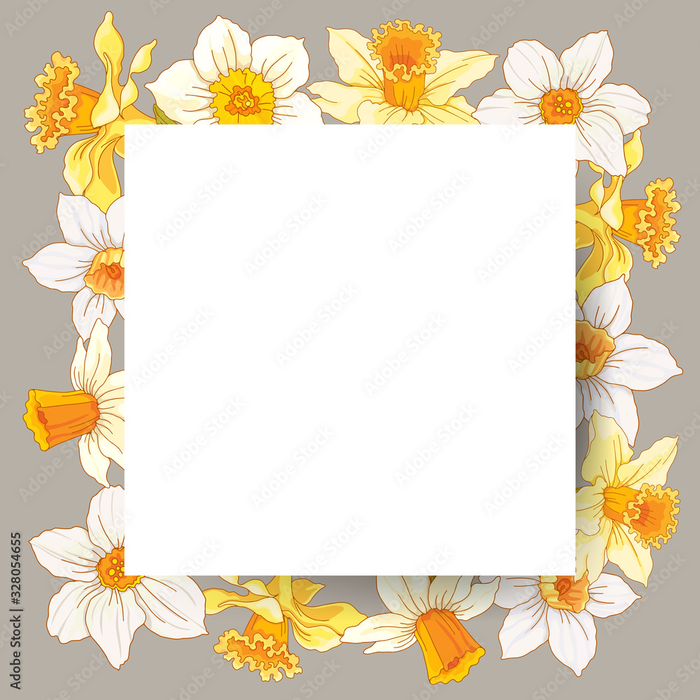 White rectangular frame on a background of pale yellow and white flowers of a daffodil. Design element for banners, cards, flyers. White rectangular frame on a background of pale yellow and white flowers of a daffodil. Design element for banners, cards, flyers.