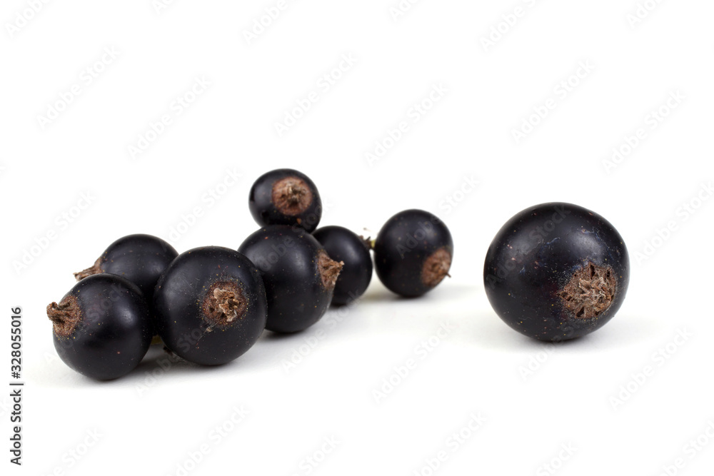 Cluster of black currant Cluster of black currant