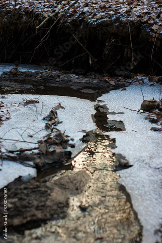 stream in the forest in winter, Moscow