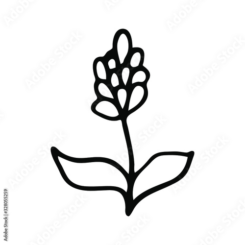 Single doodle flowers. fantasy flower bud in hand-drawn style. vector flower. element for design. Hipster grunge drawings.