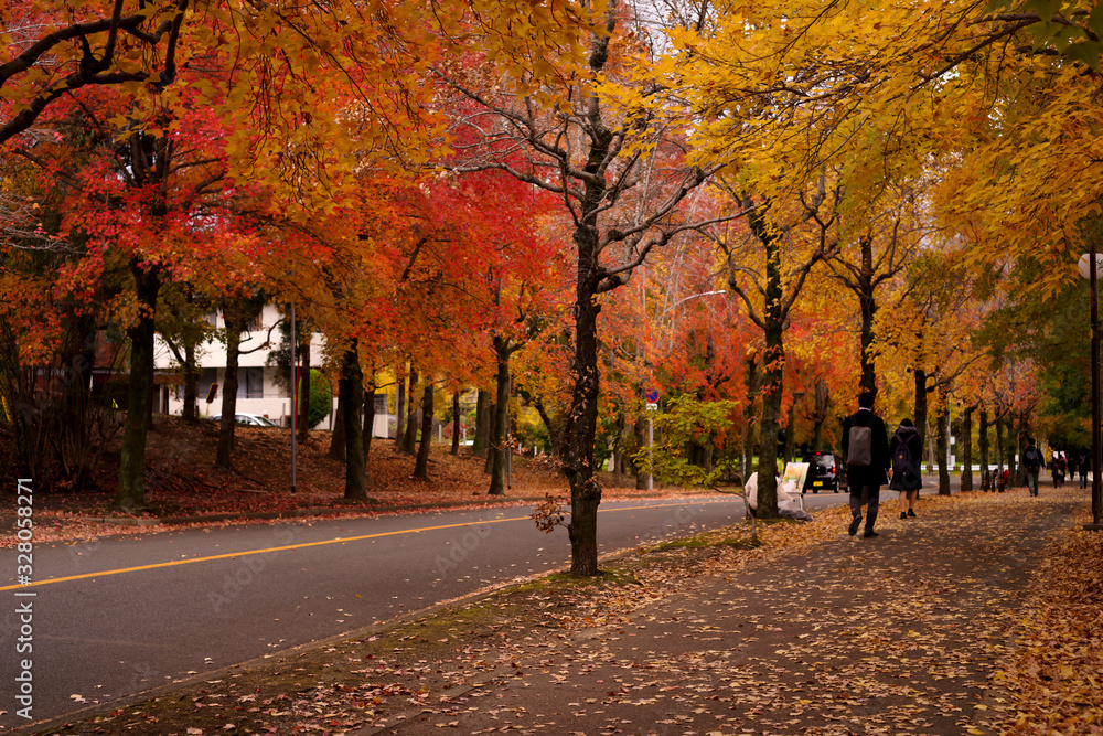 芸術の秋　絵を描く人々のいる紅葉する街並み
