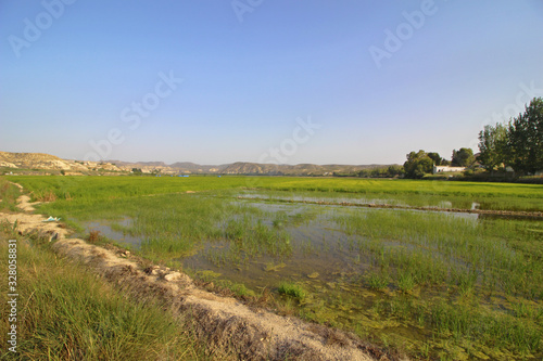 Arroz de Calasparra  Murcia  Espa  a