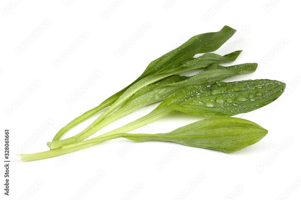 Ramson Ramson