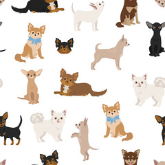 Keuken achterwand Honden patronen Chihuahua hondjes naadloos patroon  © a7880ss