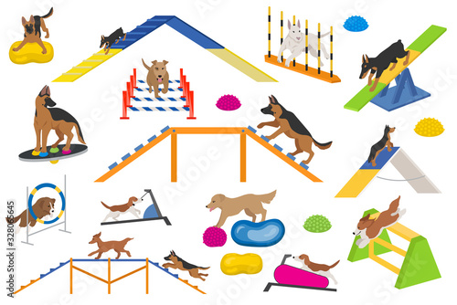 Dog playground equipment set. Colour flat playing dogs design