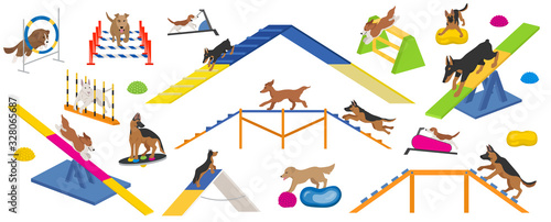 Dog playground equipment set. Colour flat playing dogs design