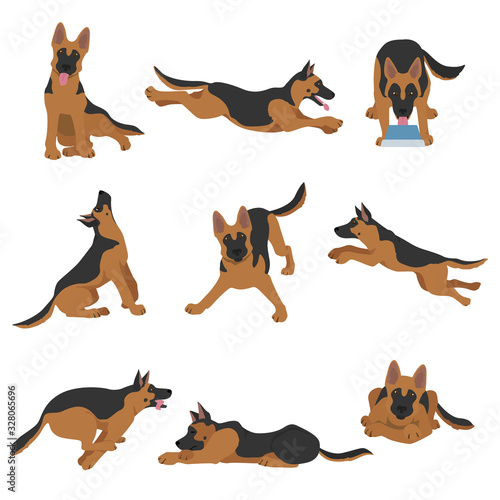 German shepherd dogs in different poses. Shepherd characters set