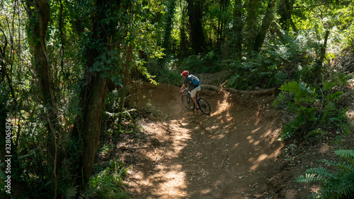 traveling through southern chile