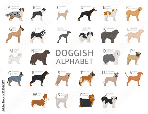 Doggish alphabet for dog lovers. Letters of the alphabet with the names of the dog breeds