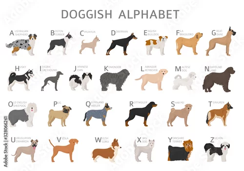 Fototapeta samoprzylepna Doggish alphabet for dog lovers. Letters of the alphabet with the names of the dog breeds