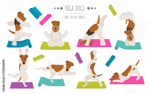 Yoga dogs poses and exercises poster design. Smooth fox terrier and wire fox terrier clipart