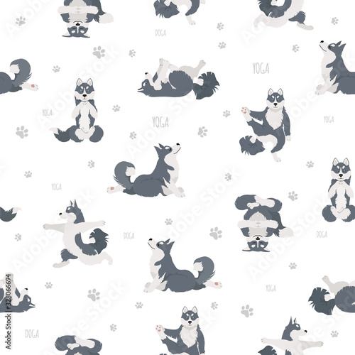 Yoga dogs poses and exercises. Siberian husky and Alaskan husky seamless pattern