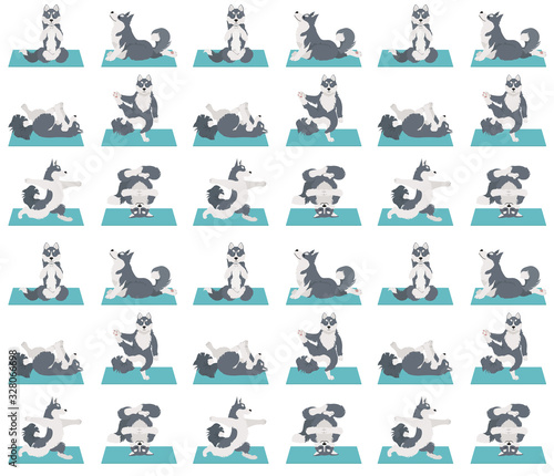 Yoga dogs poses and exercises. Siberian husky and Alaskan husky seamless pattern