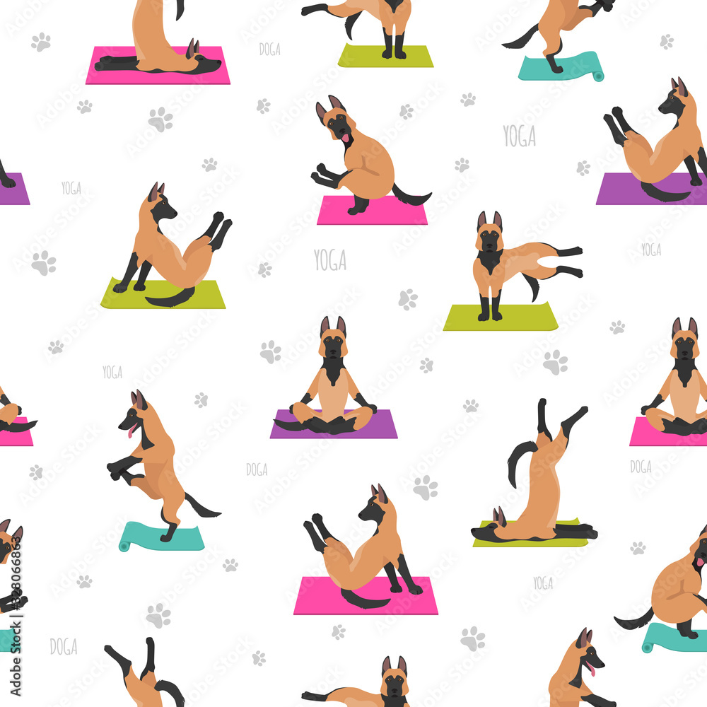 Yoga dogs poses and exercises poster design. Belgian malinois seamless pattern