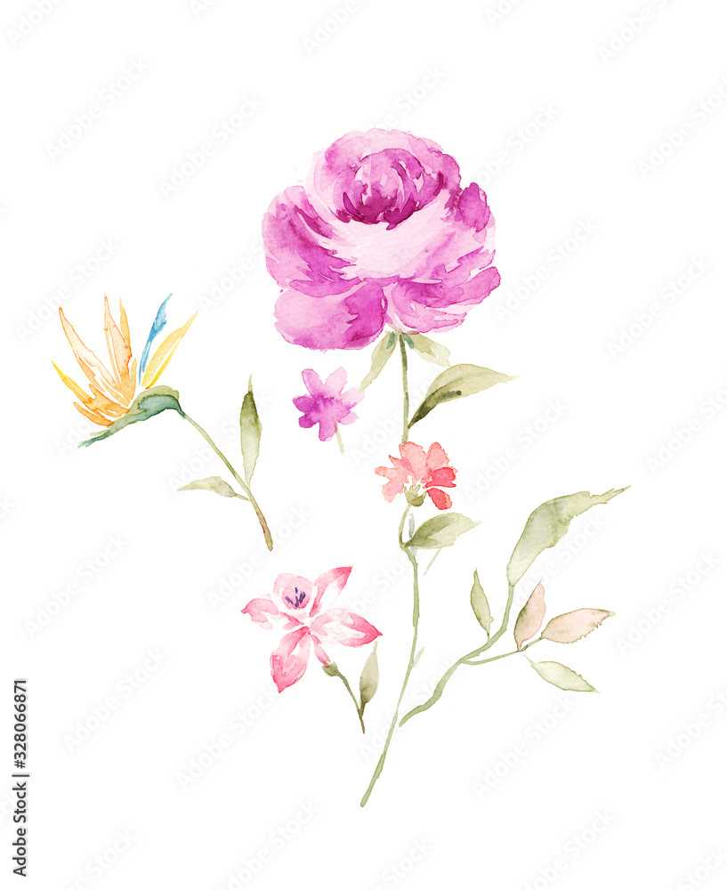 Obraz Flowers watercolor illustration.Manual composition.Big Set watercolor elements，Design for textile, wallpapers，Element for design,Greeting card