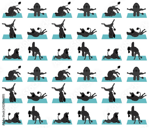 Yoga dogs poses and exercises poster design. Portuguese water dog  seamless pattern
