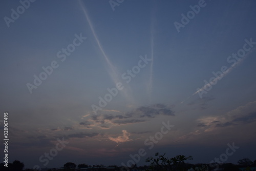 Sky&Tree © Noppawut