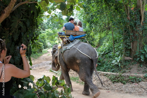 Thailand, elephant