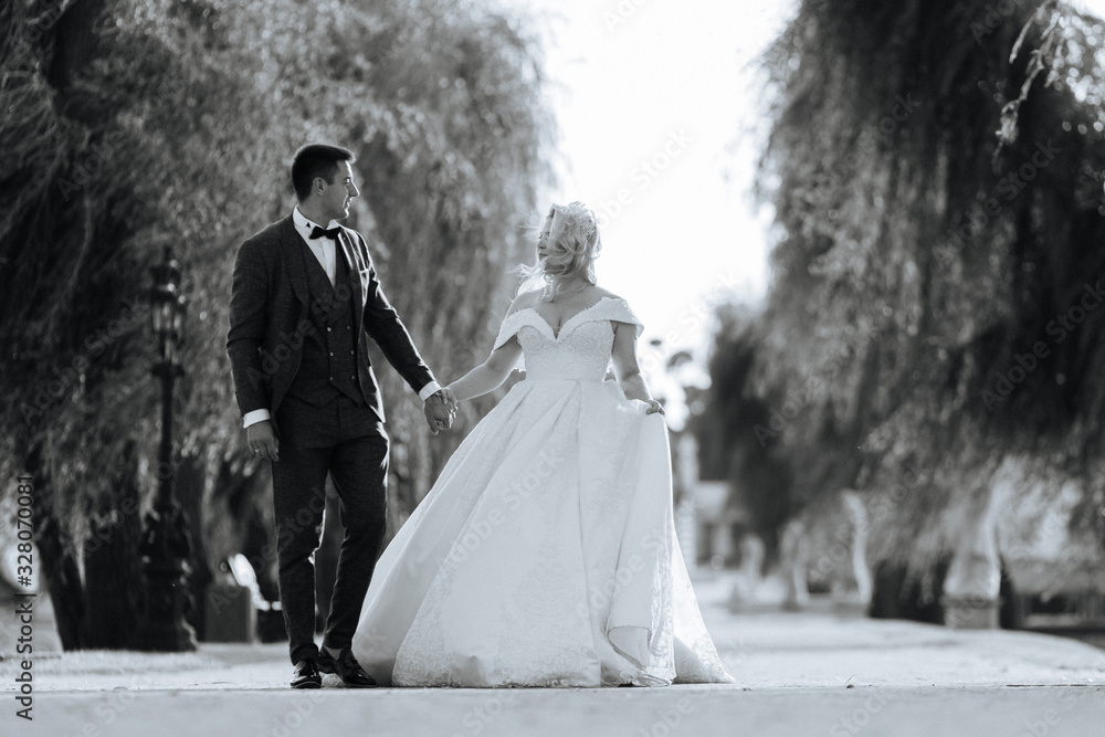The bride and groom walk together in the park. Charming bride in a white dress, the groom is dressed in a dark elegant suit The bride and groom walk together in the park. Charming bride in a white dress, the groom is dressed in a dark elegant suit