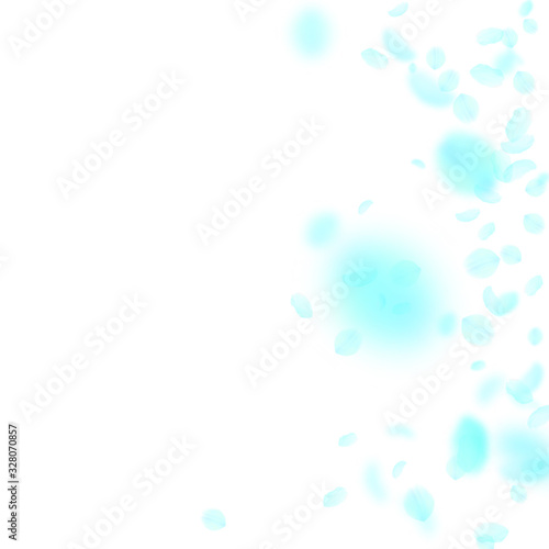 Turquoise flower petals falling down. Dramatic rom