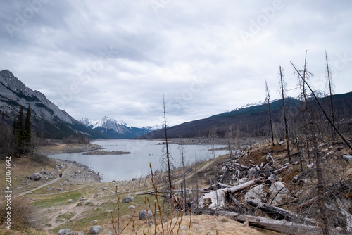 Dead trees destroyed by forest fire, al lake in the middle, Canada photo