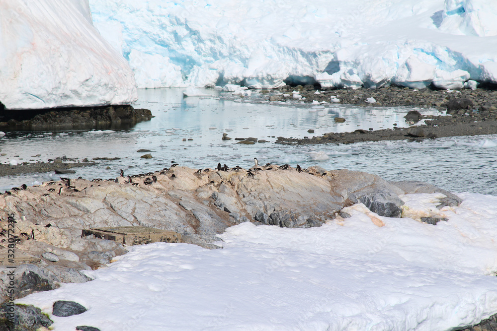 Penguins colony at Chilean González Videla Antarctic Base in  Paradise Bay on the Danco Coast, Antarctica