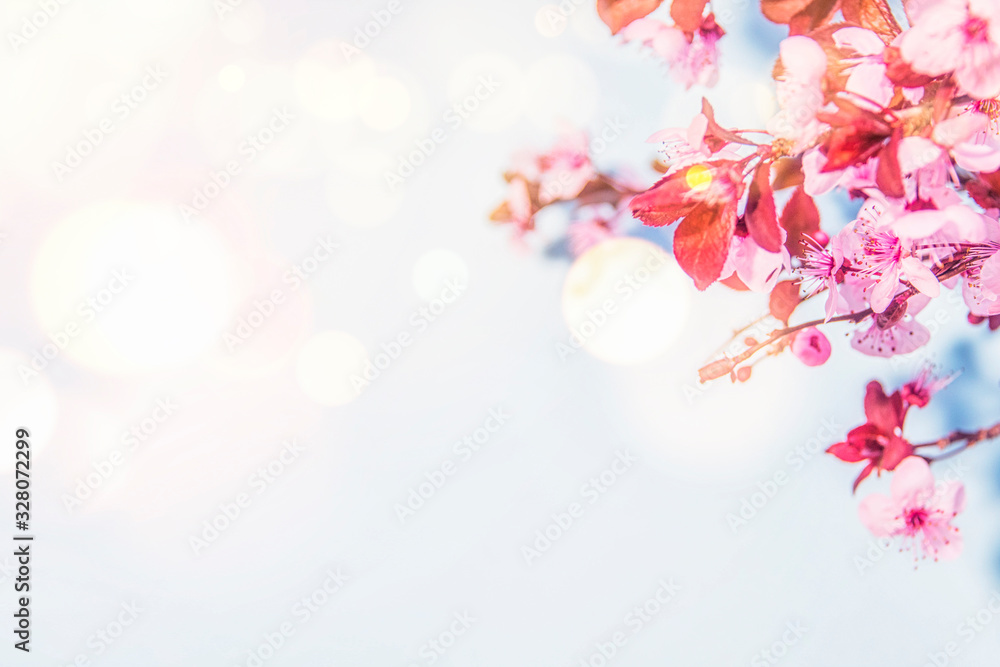 Spring blossom background.