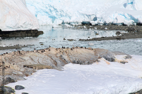 Penguins colony at Chilean González Videla Antarctic Base in Paradise Bay on the Danco Coast, Antarctica