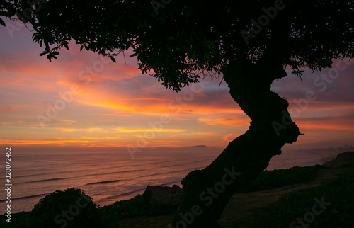 Sunset at Miraflores coast. Lima Peru. Tree