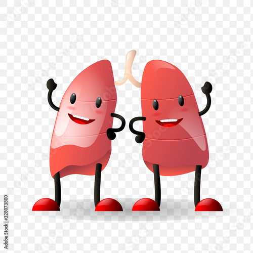 Lungs. Human internal organ realistic character