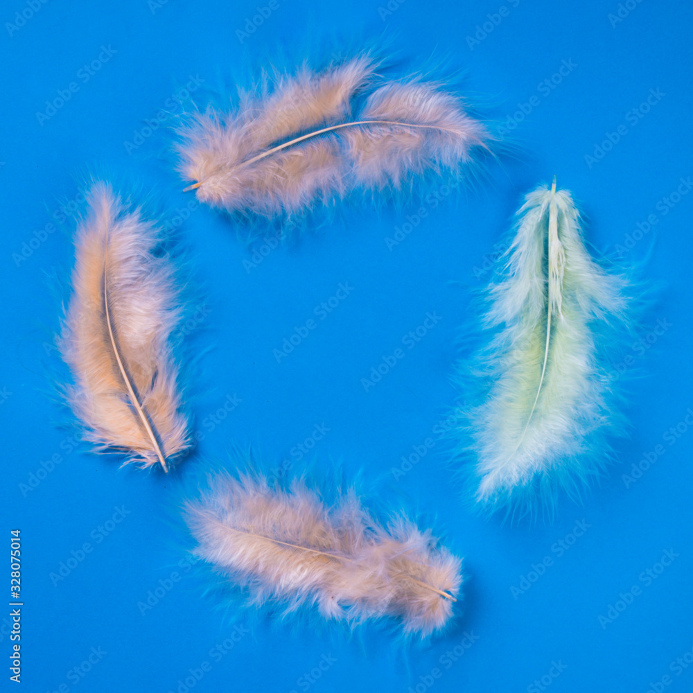pastel color feathers in blue background pastel color feathers in blue background