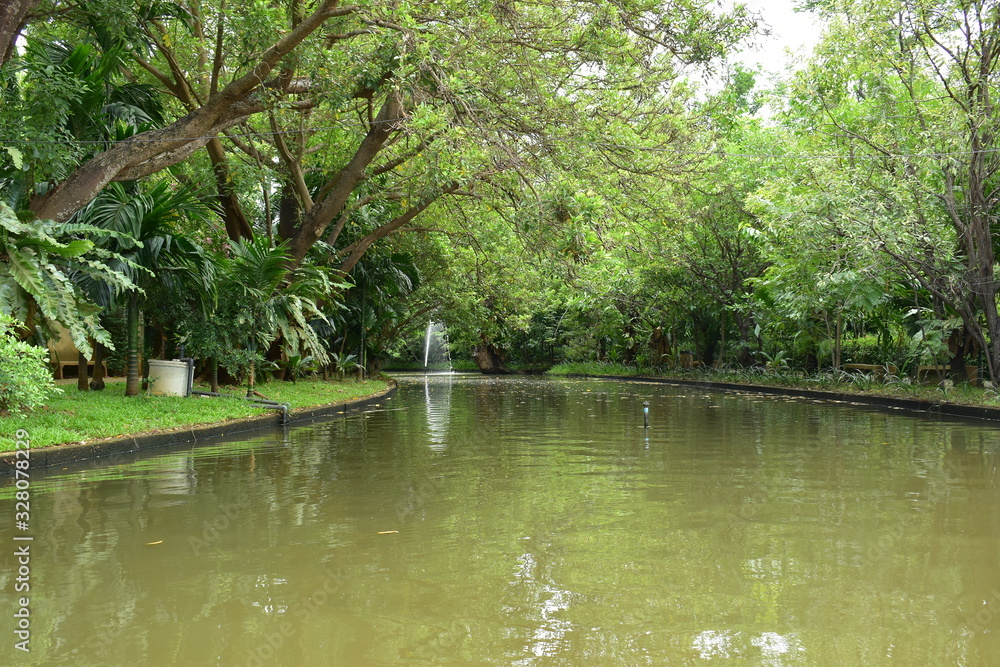 landscape of public park in the morning with view of water small pond landscape of public park in the morning with view of water small pond