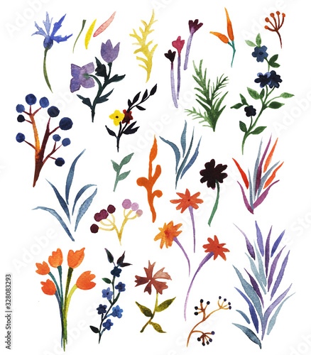 Watercolor clip art with herbs, berries, flowers, abstract elements. Watercolour set with botanical hand drawn elements.