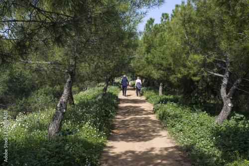 The elderly walking on woods