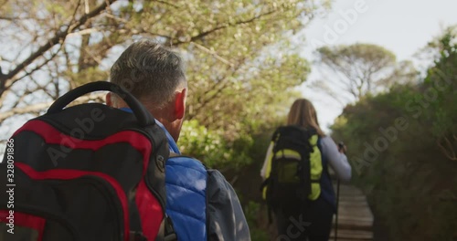 Wallpaper Mural Active senior couple hiking in forest Torontodigital.ca