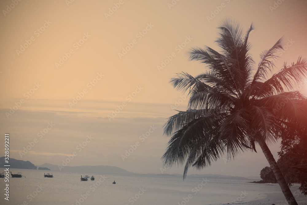coconut tree vintage style on beach sunshine In the evening