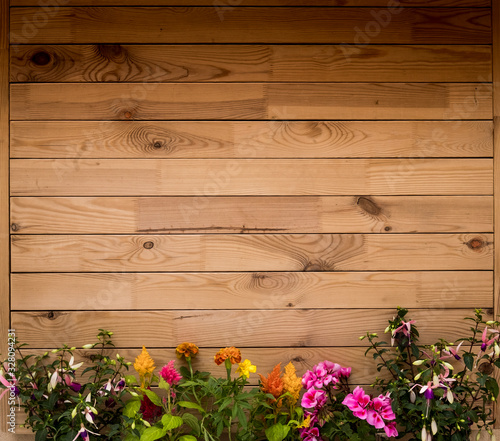 rustic brown wooden plank - recycled material - horizontal striped - old pattern -background - plants in spring bloom