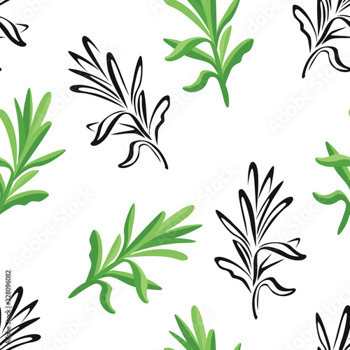 Tarragon leaf seamless pattern. Vector color illustration of green culinary aromatic estragon herb on  white background. Black and white outline.