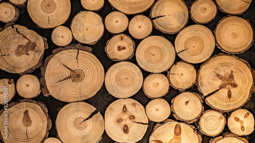 Stack of wooden stumps in cross section texture background photo