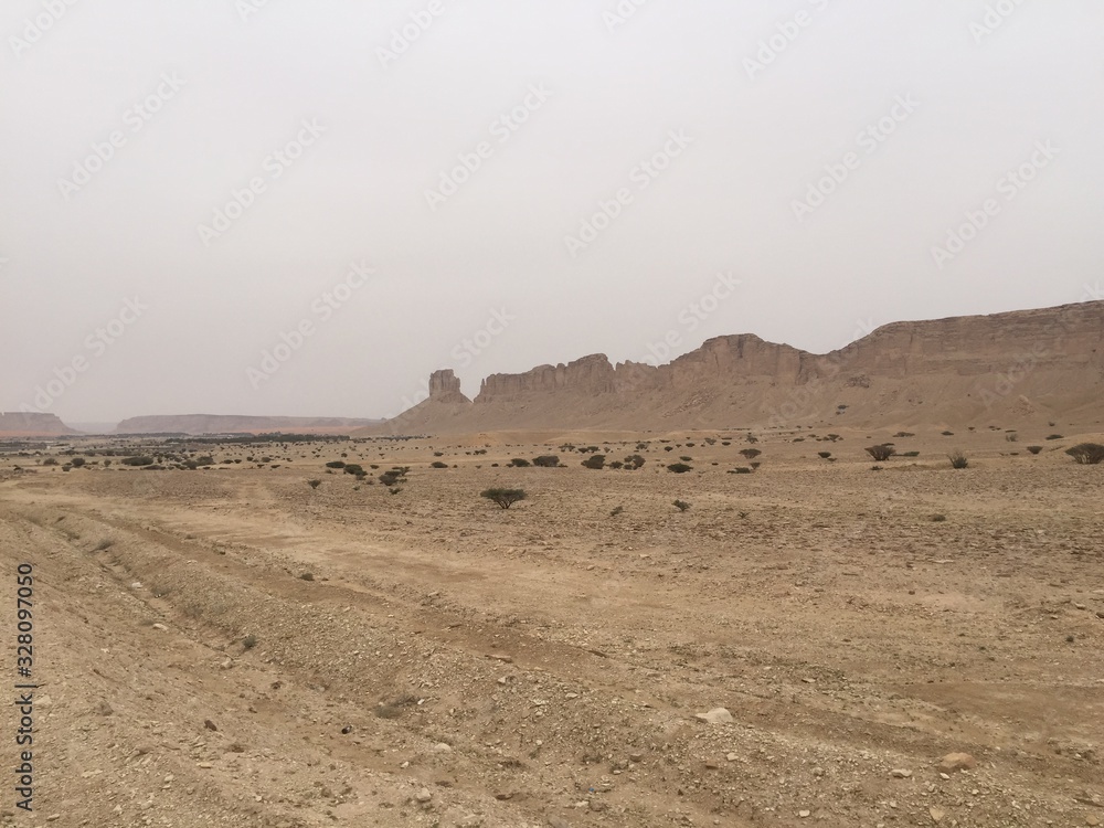 Saudi Arabia, desert, dune Saudi Arabia, desert, dune