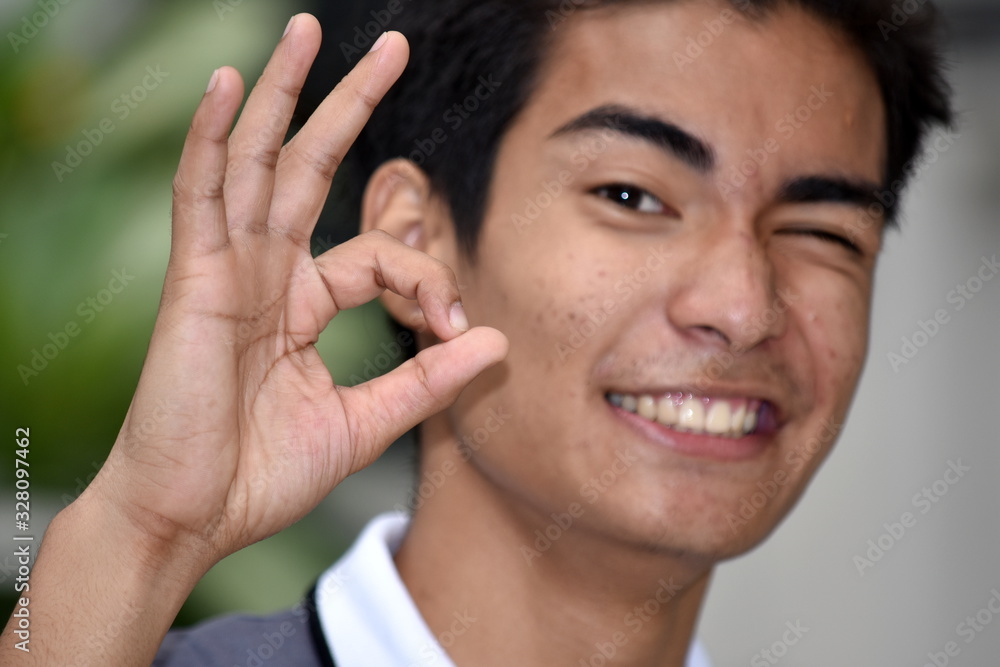An Okay Handsome Minority Person An Okay Handsome Minority Person