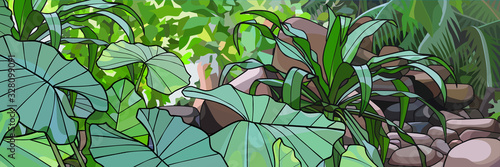 Background with green plants with stones and tropical plants